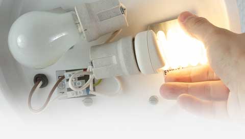 filament-bulbs