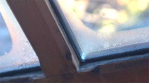 Removing black mould and preventing condensation