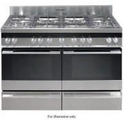 Fisher & Paykel OR120DDWGX2